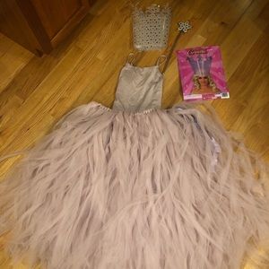 🌟🌟One-of-a-Kind Adult Glinda Costume🌟🌟
